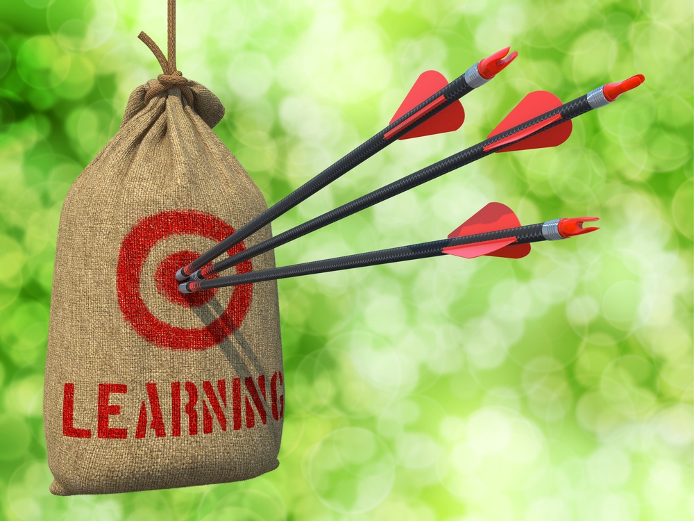 Learning - Three Arrows Hit in Red Target on a Hanging Sack on Natural Bokeh Background..jpeg